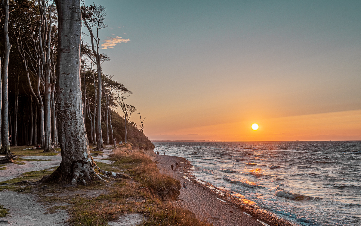 Landschaftsbild vom Sonnenuntergang an der Ostseeküste beim Gespensterwald