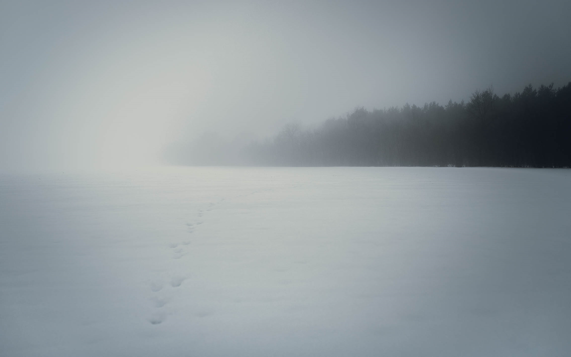 Norddeutsche Landschaft im Winter mit Nebel.