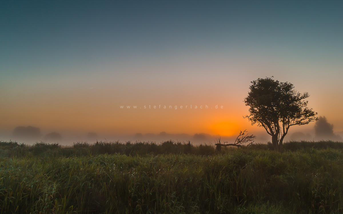 Bild: landschaft-morgensonne-nebel.jpg