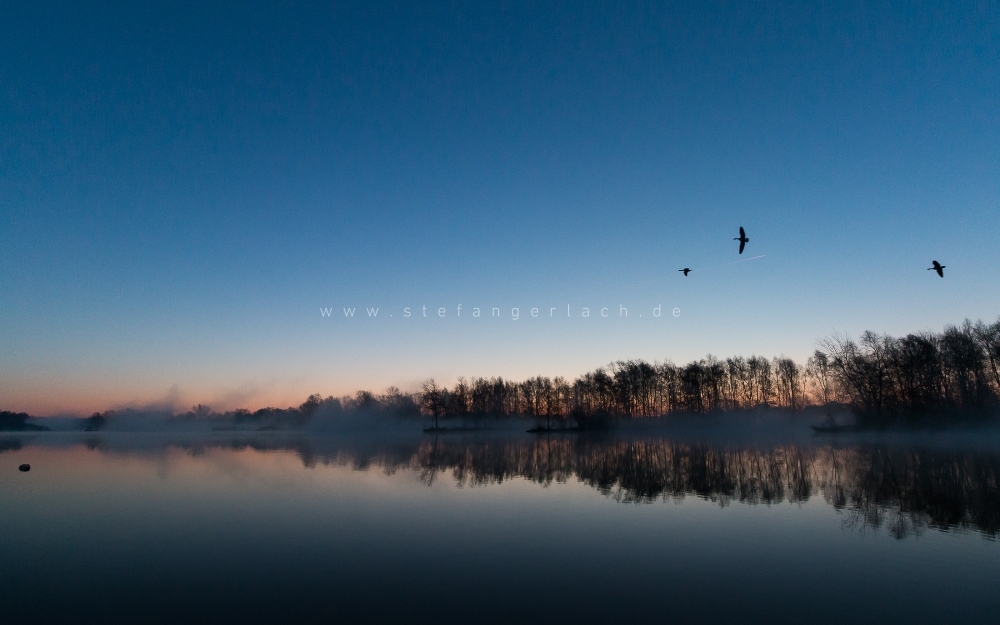 Bild: see-morgens-im-nebel-sonnenaufgang-und-gaense.jpg