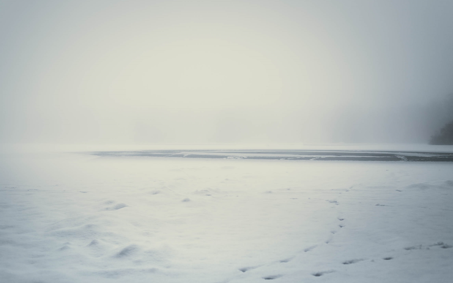 Bild: see-zugeschneit-tierspuren-nebel.jpg