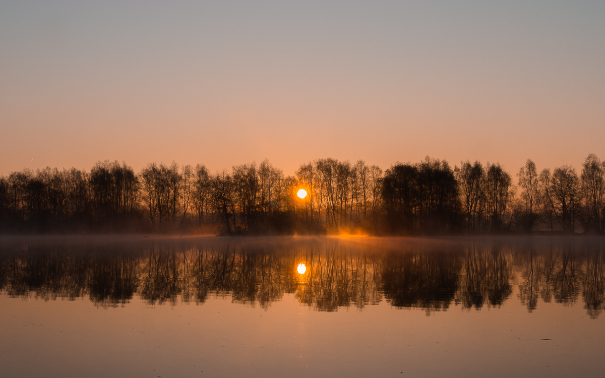 Bild: witzeeze-morgen-nebel-sonne.jpg